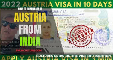 Immigrate to Austria: A Guide for Indians