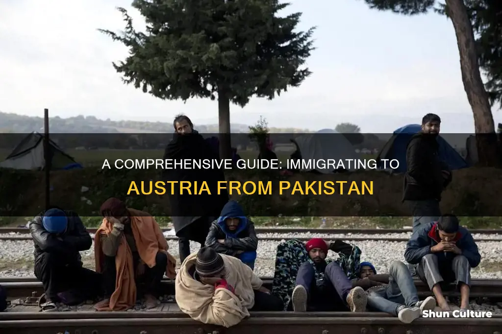 how to immigrate to austria from pakistan