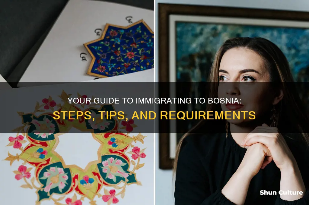 how to immigrate to bosnia
