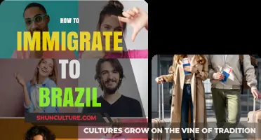 Your Guide to Immigrating to Brazil: Steps, Visas, and Tips