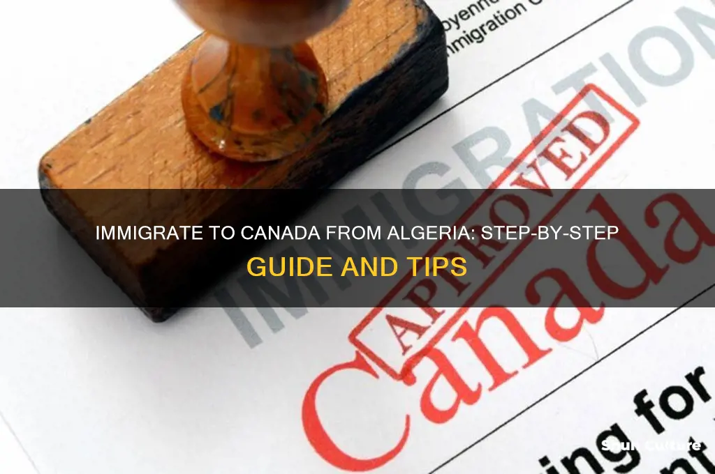 how to immigrate to canada from algeria