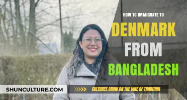 Step-by-Step Guide: Immigrating to Denmark from Bangladesh Successfully