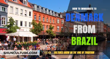 Immigrate to Denmark from Brazil: A Step-by-Step Guide