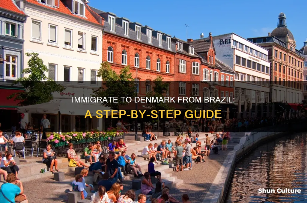 how to immigrate to denmark from brazil