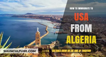 Step-by-Step Guide: Immigrating to the USA from Algeria Successfully