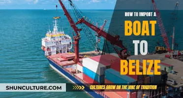 Importing a Boat: Navigating Belize's Customs