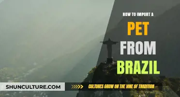 Importing Your Pet from Brazil: A Step-by-Step Guide