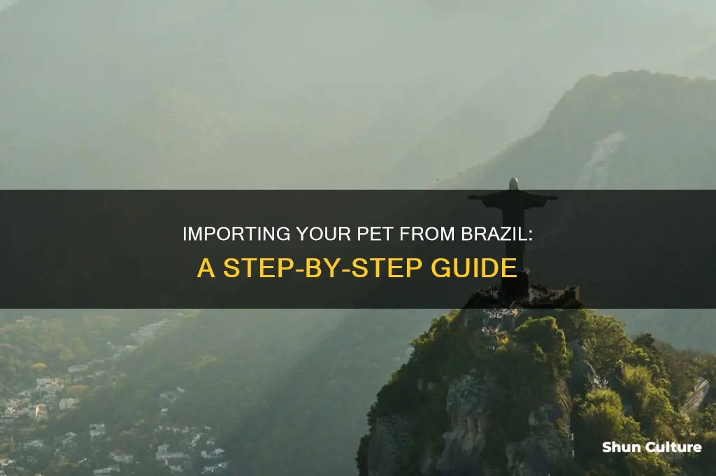 how to import a pet from brazil