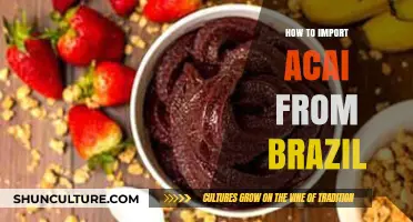 Importing Acai from Brazil: A Comprehensive Guide for Success