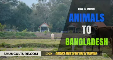 Importing Animals to Bangladesh: A Comprehensive Guide for Pet Owners