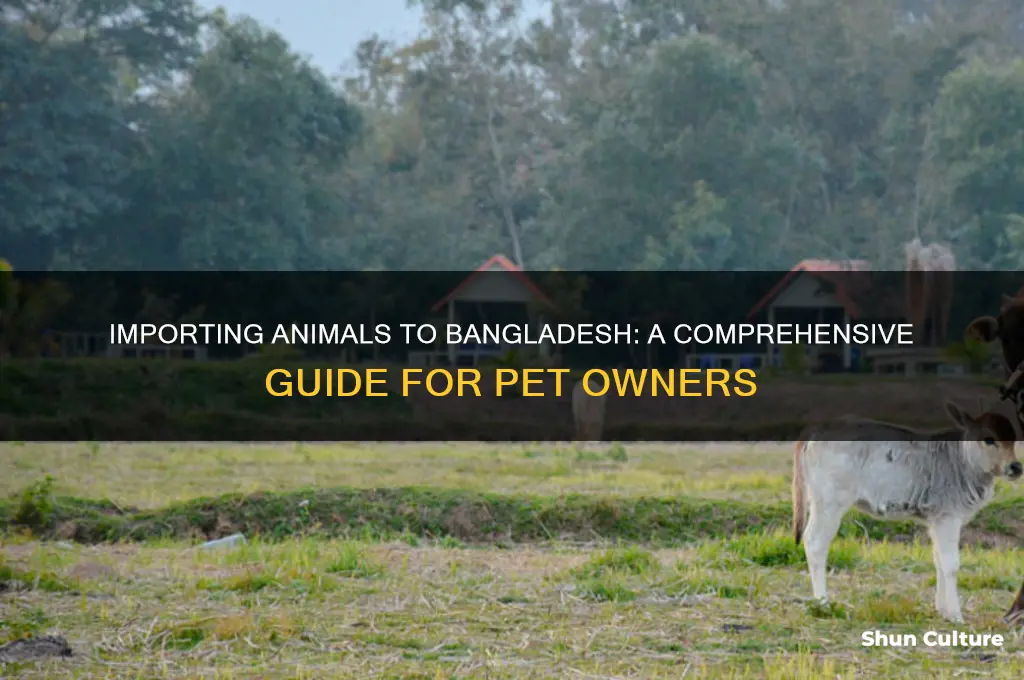 how to import animals to bangladesh