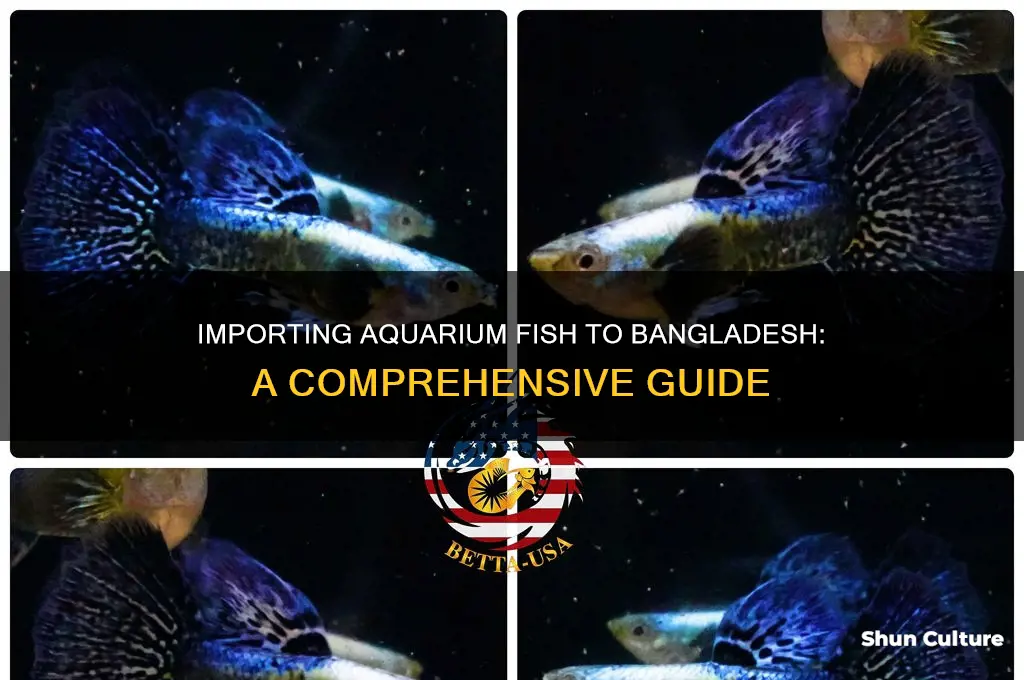 how to import aquarium fish in bangladesh