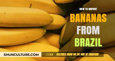 Importing Bananas from Brazil: A Comprehensive Guide for Beginners