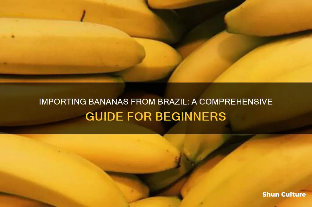 how to import bananas from brazil