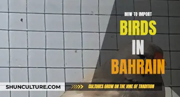 Importing Birds: Bahrain's Rules and Regulations