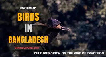 Importing Birds to Bangladesh: A Comprehensive Guide for Enthusiasts