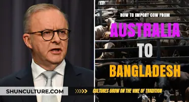 Importing Australian Cattle to Bangladesh: A Comprehensive Guide