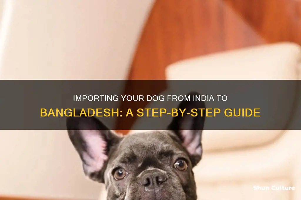 how to import dog from india to bangladesh