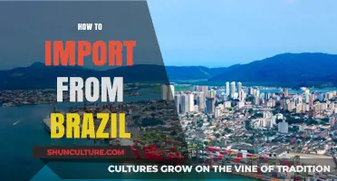 Mastering Brazilian Imports: A Comprehensive Guide for Global Businesses