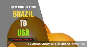 Importing Brazilian Fruits to the USA: A Comprehensive Guide