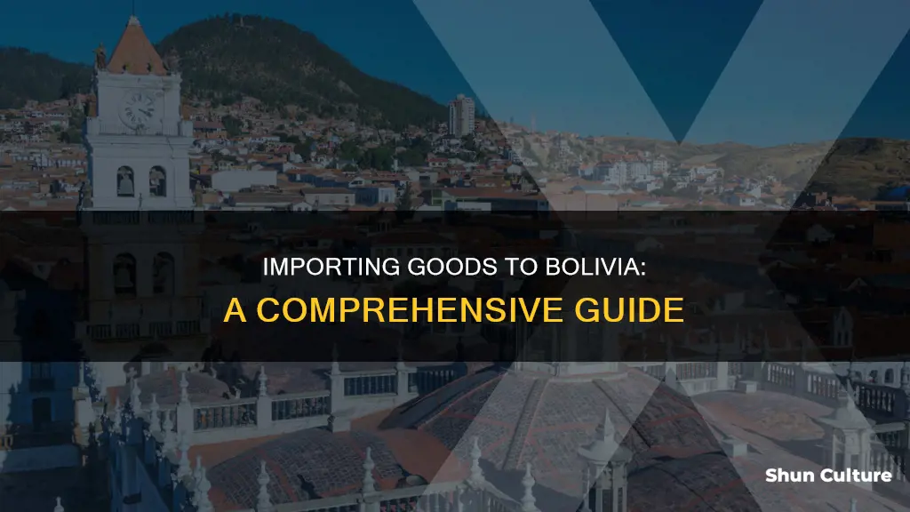 how to import goods into bolivia