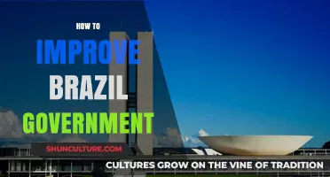 Strengthening Brazil's Governance: Key Strategies for Effective Policy Reforms