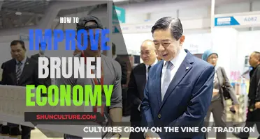 Improving Brunei's Economy: Strategies for Growth and Development