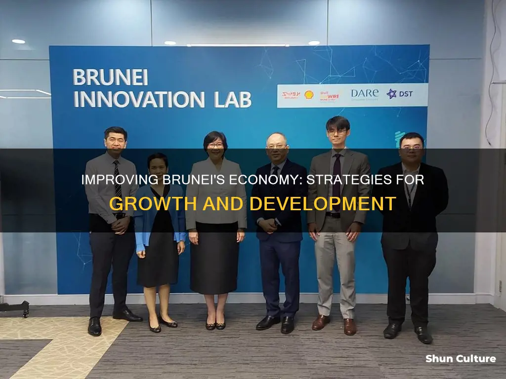 how to improve brunei economy