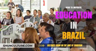 Transforming Brazil's Education: Strategies for Enhanced Learning and Equity