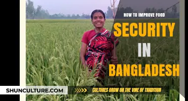 Enhancing Bangladesh's Food Security: Strategies for Sustainable Agricultural Growth