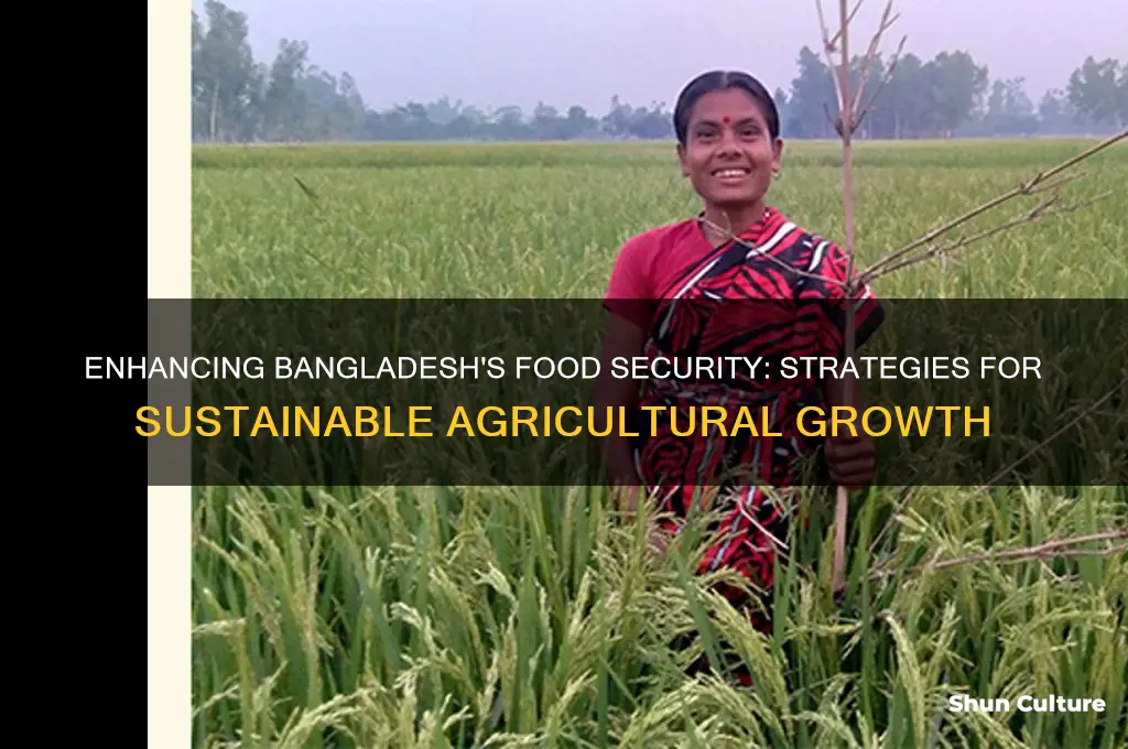 how to improve food security in bangladesh