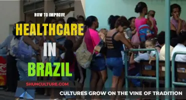 Enhancing Brazil's Healthcare System: Strategies for Better Access and Outcomes