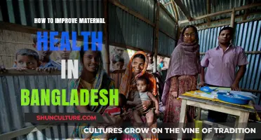 Enhancing Maternal Health in Bangladesh: Strategies for Better Outcomes