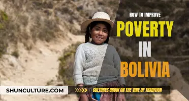 Bolivian Poverty: Strategies for Improvement and Progress