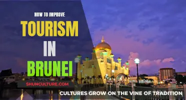 Enhancing Brunei's Tourism: Strategies for a Vibrant Industry