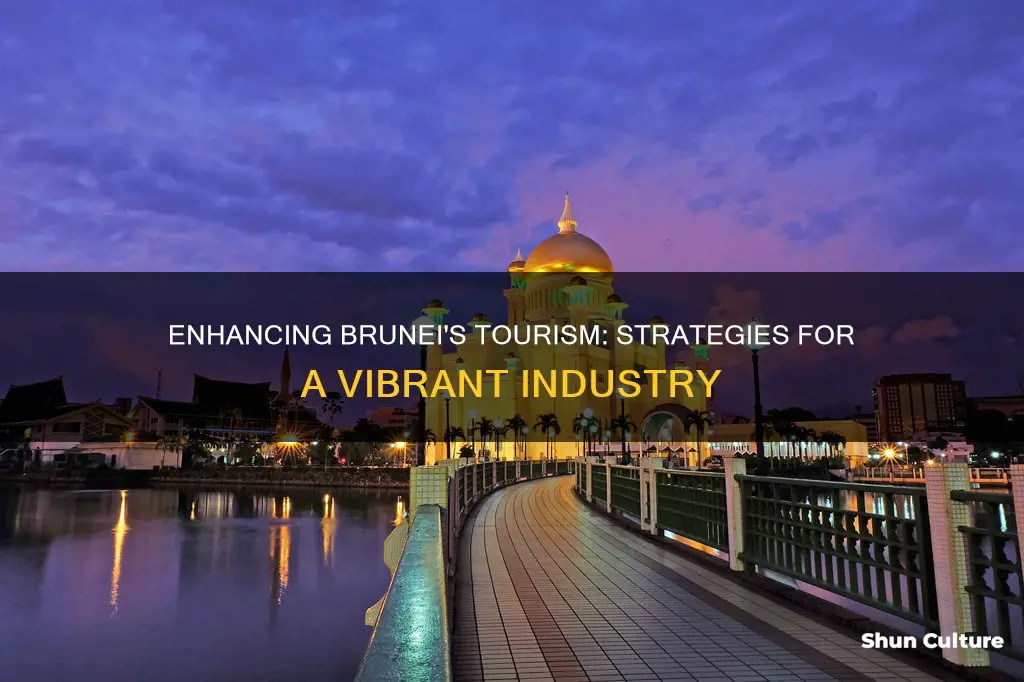 how to improve tourism in brunei