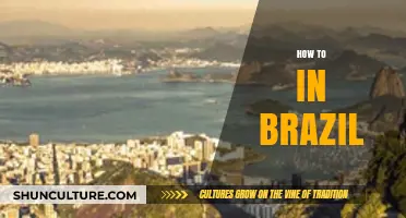 Exploring Brazil: Essential Tips for Living, Traveling, and Thriving