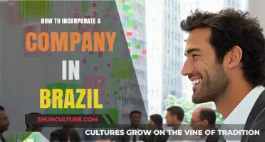 Incorporating a Company in Brazil: A Step-by-Step Guide for Entrepreneurs