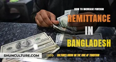 Boosting Bangladesh's Foreign Remittance: Strategies for Growth and Economic Impact