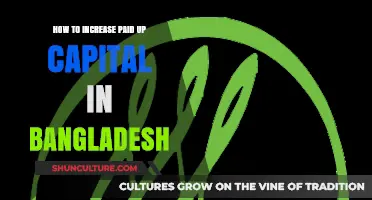 Boosting Paid-Up Capital in Bangladesh: Strategies for Business Growth