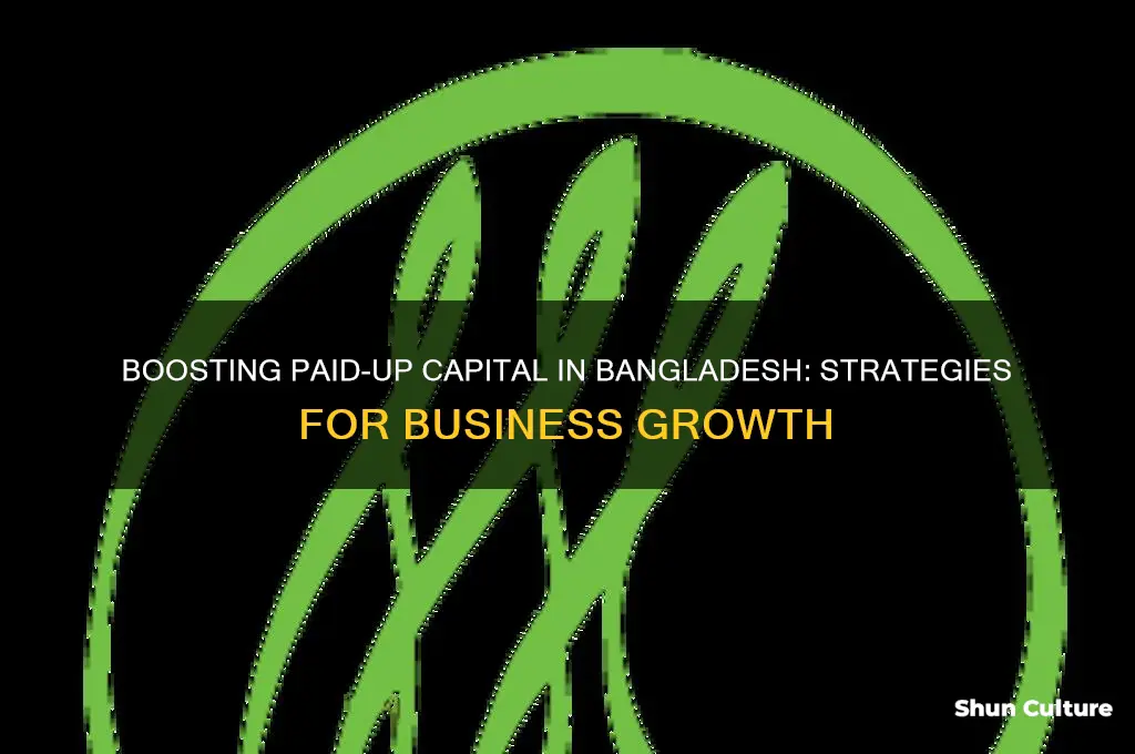 how to increase paid up capital in bangladesh