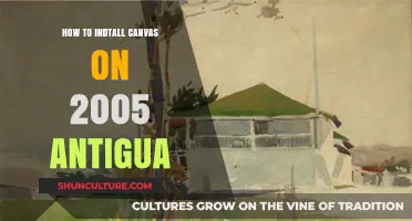 Installing Canvas on a 2005 Antigua: A Step-by-Step Guide