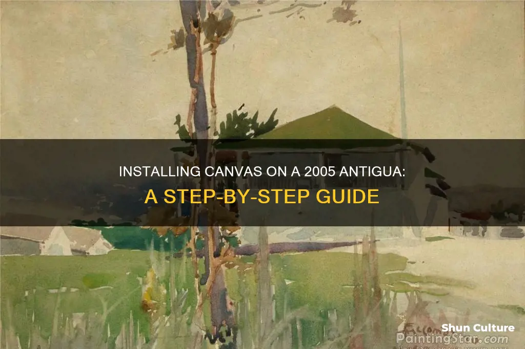 how to indtall canvas on 2005 antigua