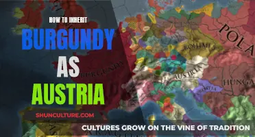 A Guide to Inheriting Burgundy: Tips for Austria's Success