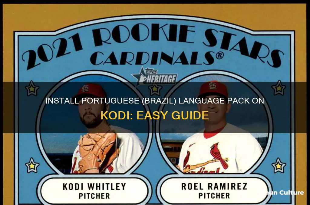 how to install language portuguese brazil on kodi