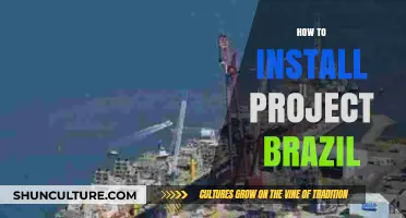 Step-by-Step Guide to Installing Project Brazil Successfully