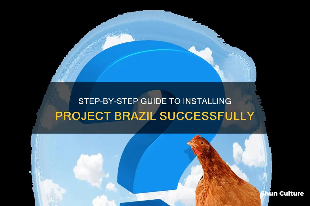 how to install project brazil