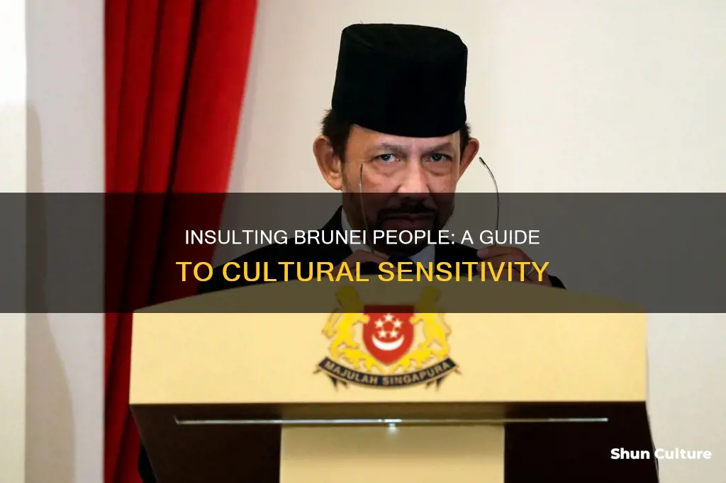 how to insult brunei people