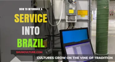 Expanding to Brazil: A Step-by-Step Guide to Launching Your Service