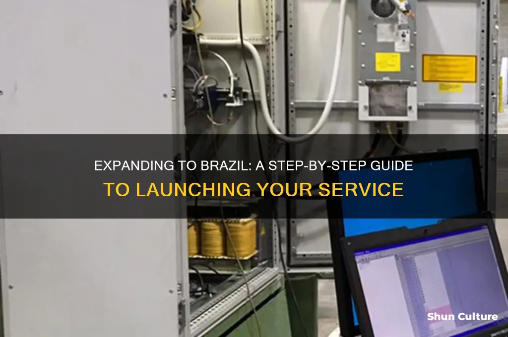 how to intorduce a service into brazil